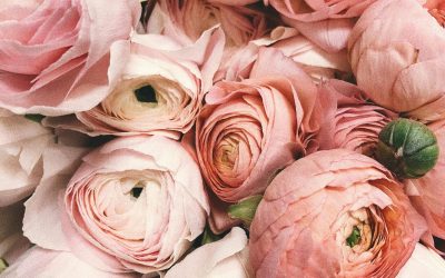 pexels-secret-garden-931177 pexels-secret-garden-931177